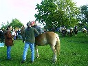 Lisbeth aus der Normandie