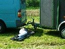 Siesta