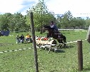 auch Bess springt &uuml;ber die Blumen