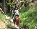 Treppe