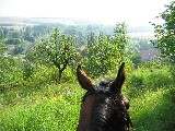 rund um Schwittersdorf